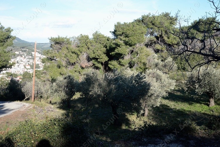 HouseFor Sale, Main town - Chora, Alonnisos, Sporades