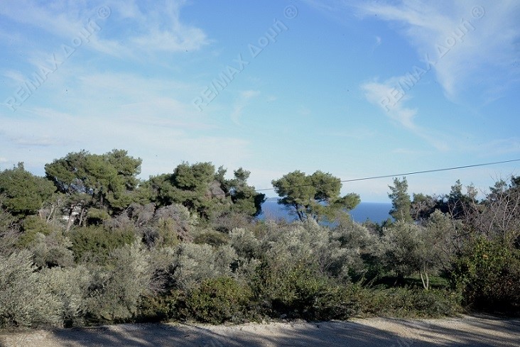 HouseFor Sale, Main town - Chora, Alonnisos, Sporades