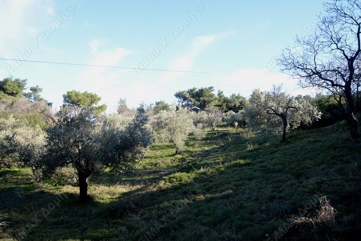 HouseFor Sale, Main town - Chora, Alonnisos, Sporades