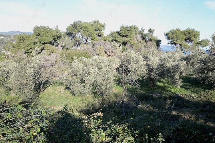 HouseFor Sale, Main town - Chora, Alonnisos, Sporades