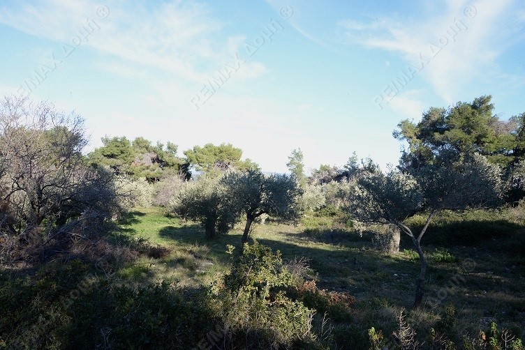 HouseFor Sale, Main town - Chora, Alonnisos, Sporades