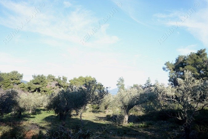 HouseFor Sale, Main town - Chora, Alonnisos, Sporades