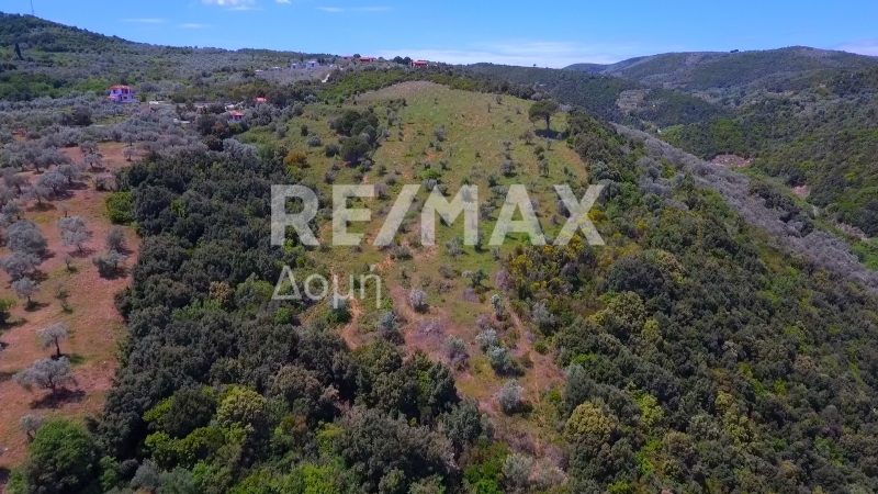 HouseFor Sale, Xinovrisi, Argalasti, Magnesia