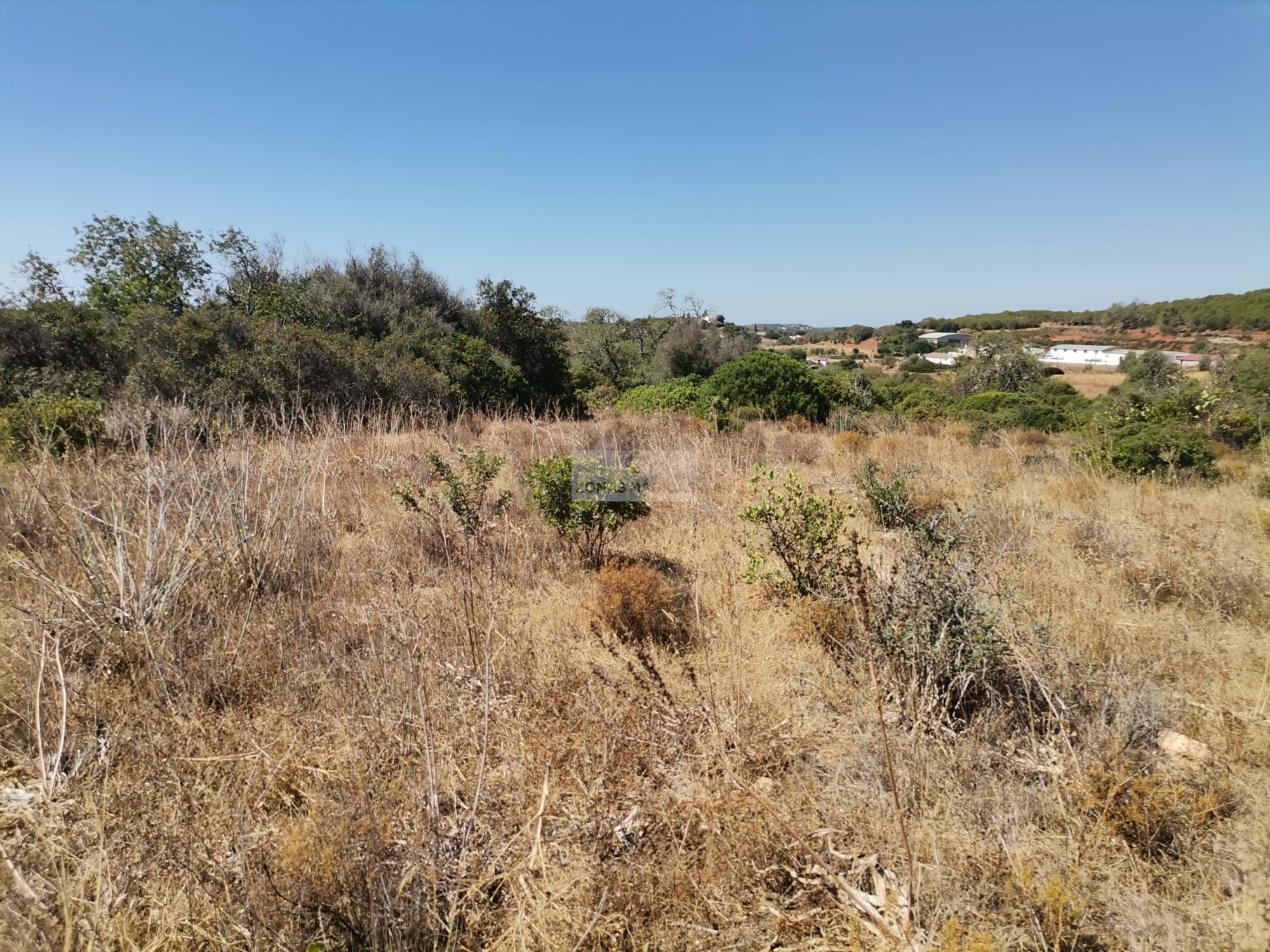 Land, For Sale Land, For Sale