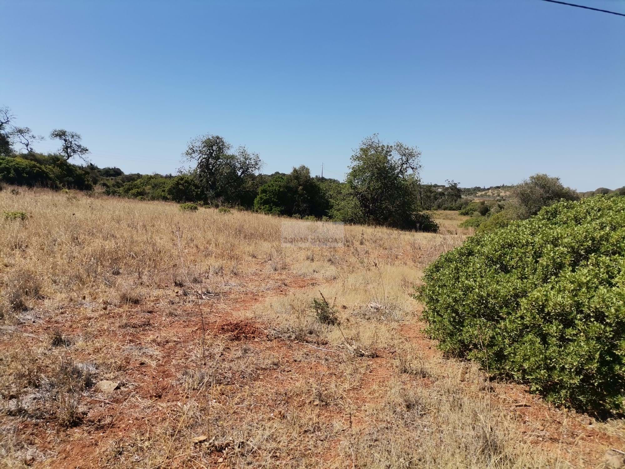 Land, For Sale Land, For Sale