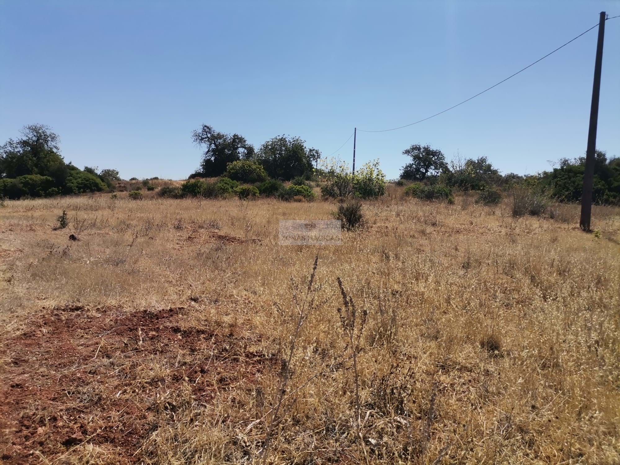 Land, For Sale Land, For Sale