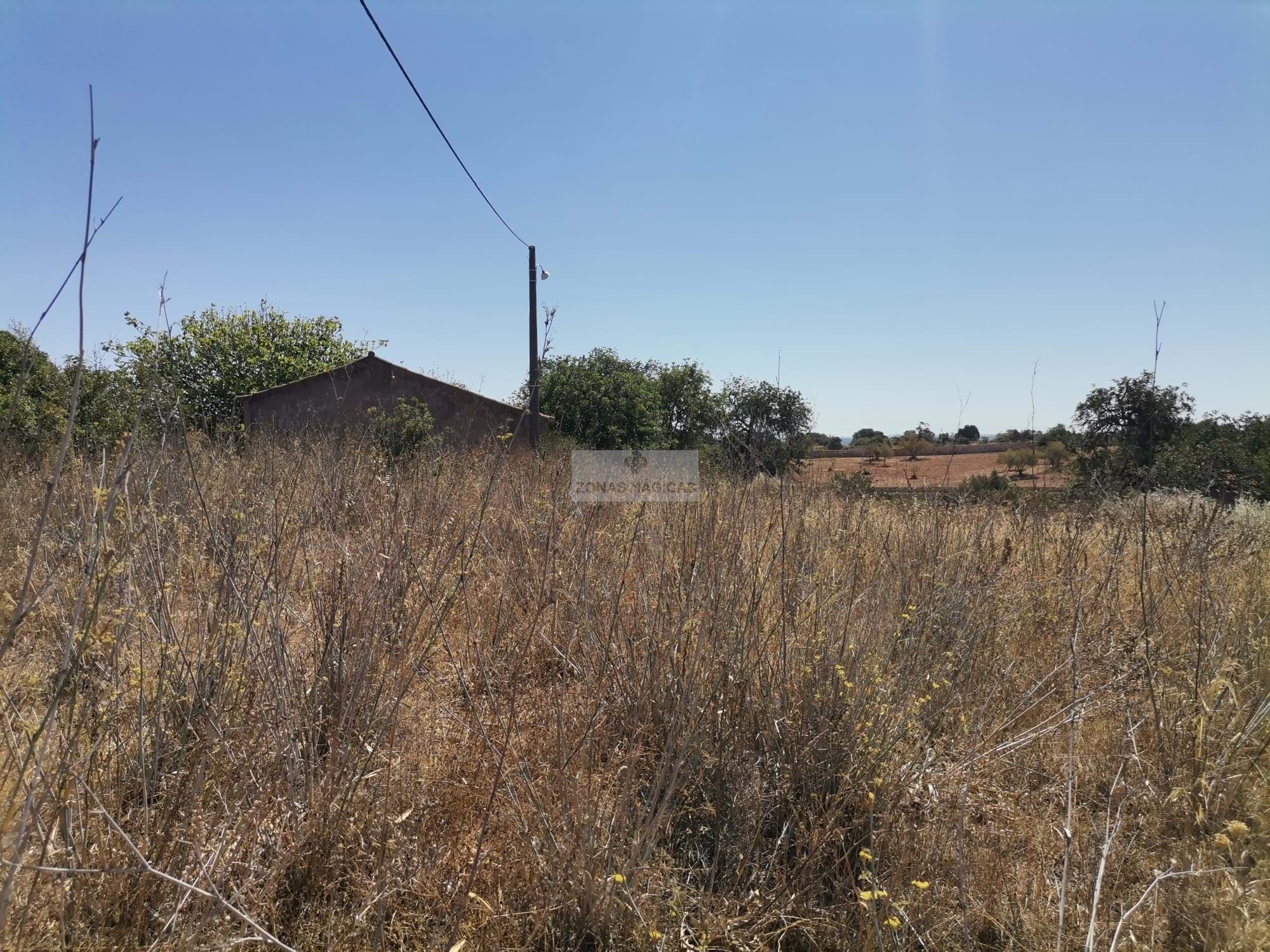 Land, For Sale Land, For Sale