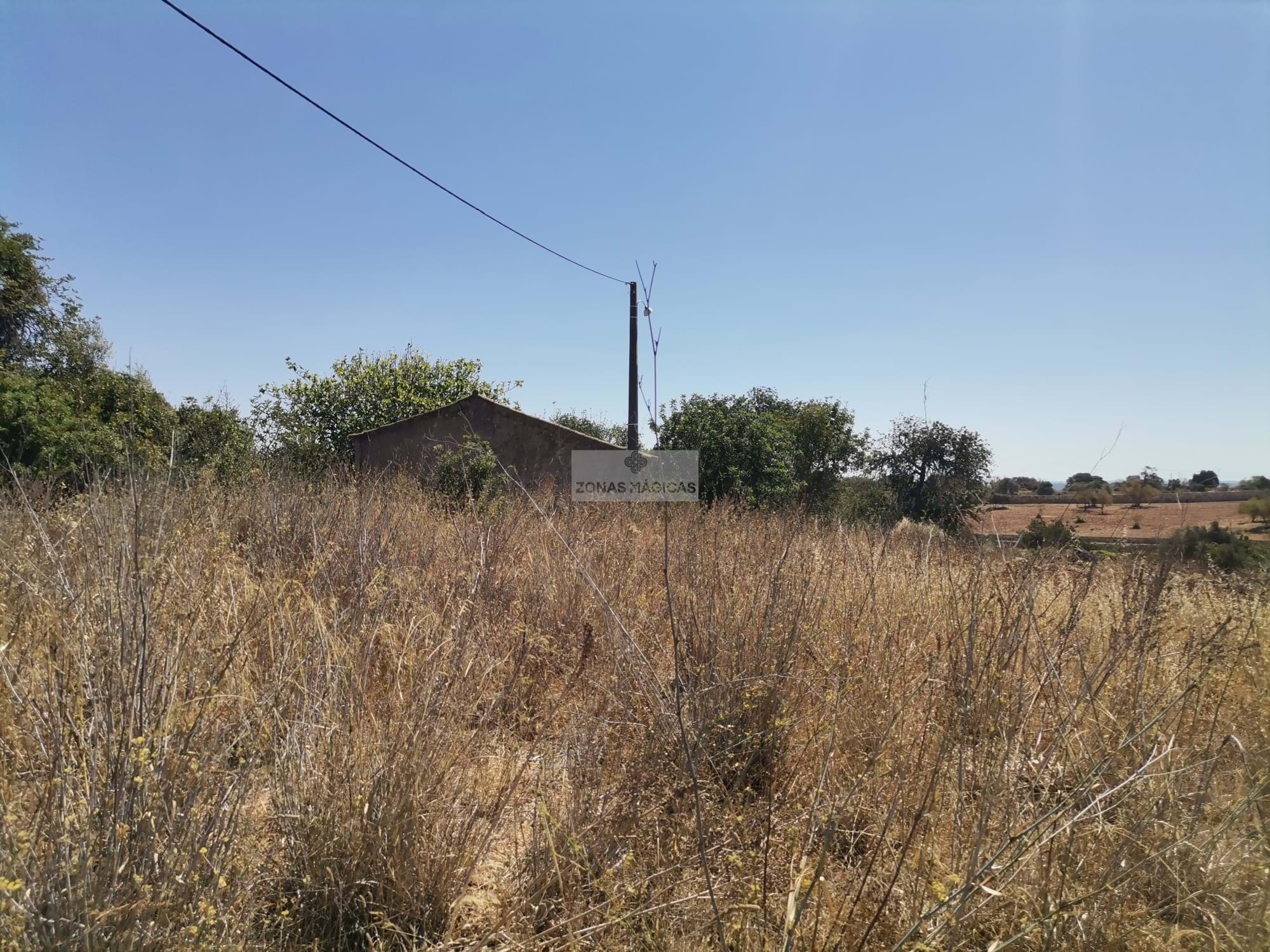 Land, For Sale Land, For Sale