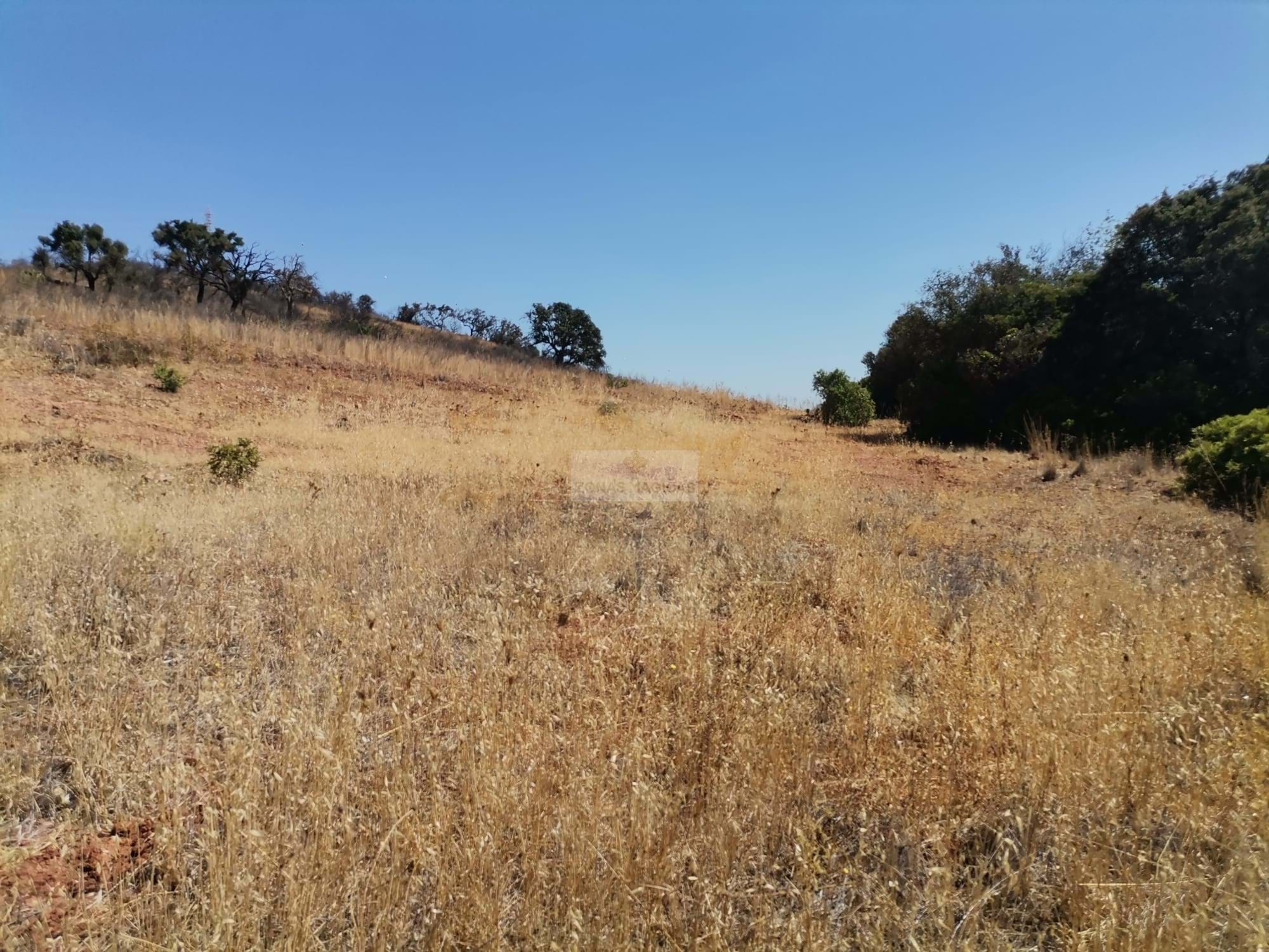Land, For Sale Land, For Sale
