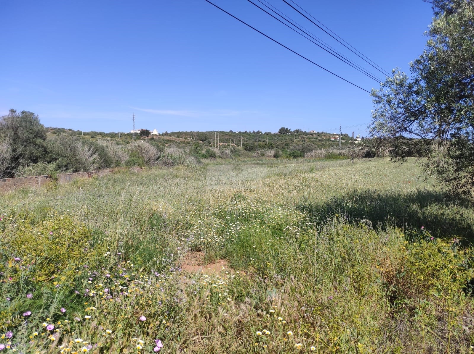 Land, For Sale