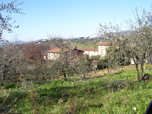 10 Bed, HouseFor Sale, Capannori, Lucca, Toscana