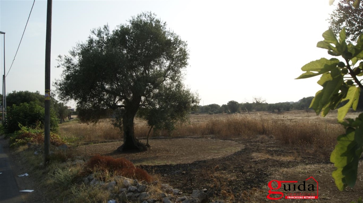 Land, For Sale