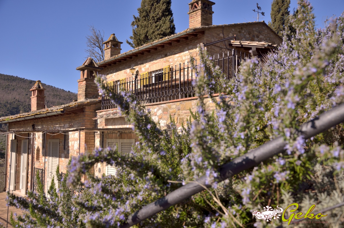 9 Bed, HouseFor Sale, San Gimignano, Siena, Toscana