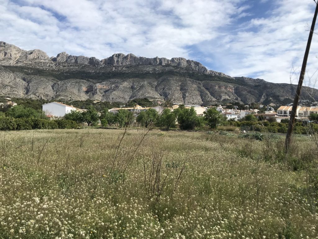 Altea, Alicante, ,For Sale,PAR0891 - OPF