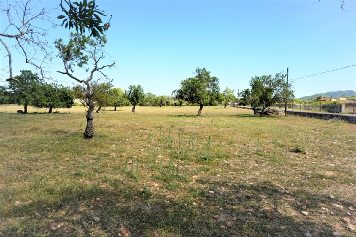 Land, For Sale