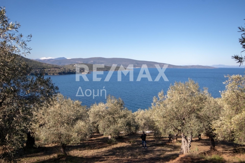 HouseFor Sale, Marathias, Sipiada, Magnesia