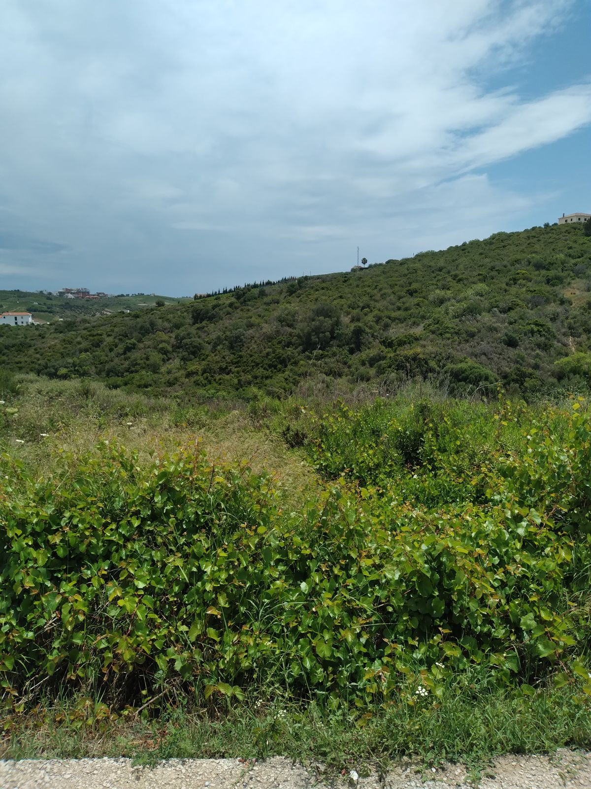 Land, For Sale