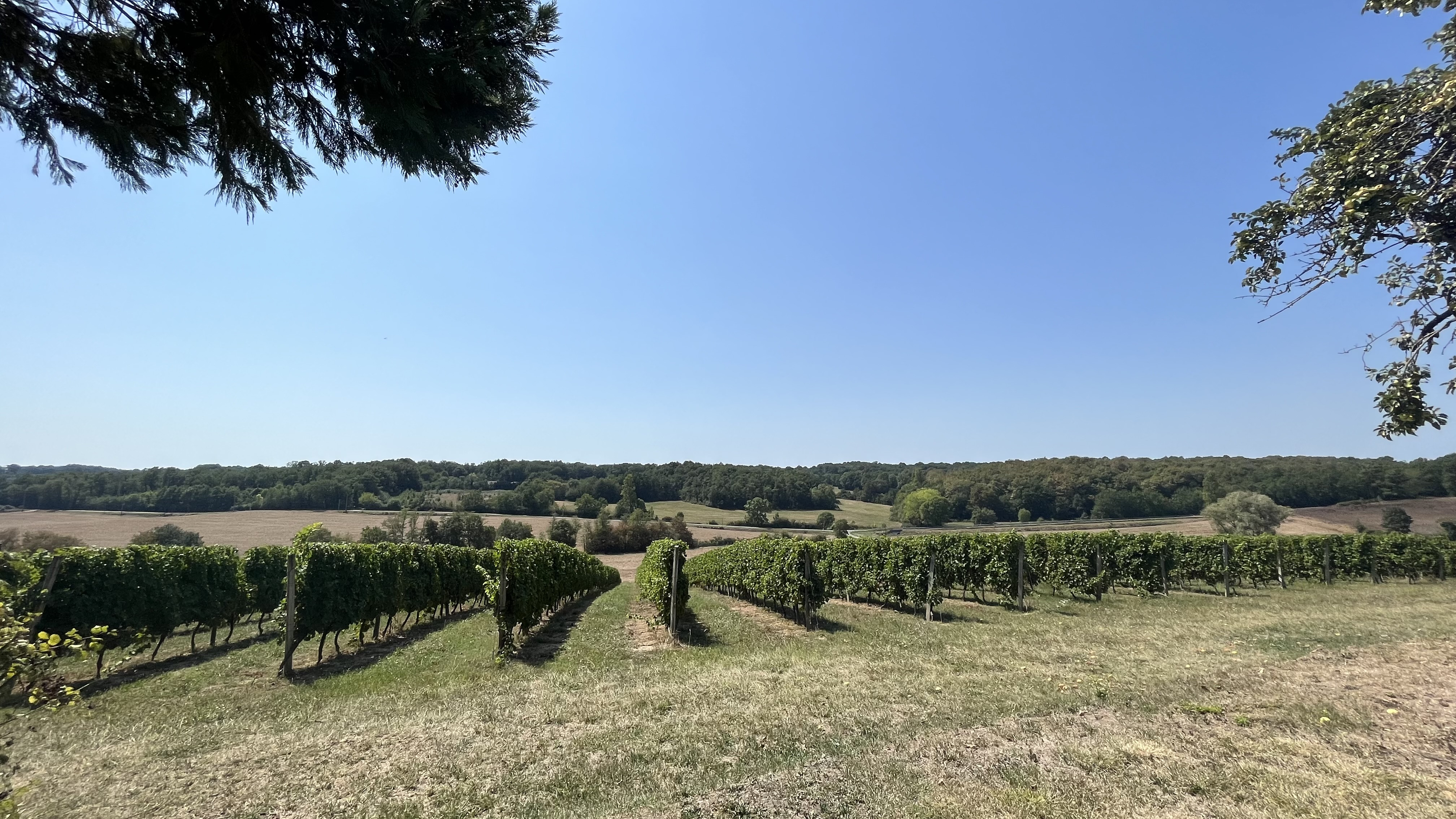 4 Bed, 1 Bath, HouseFor Sale, Eymet, Dordogne, Aquitaine, 24500