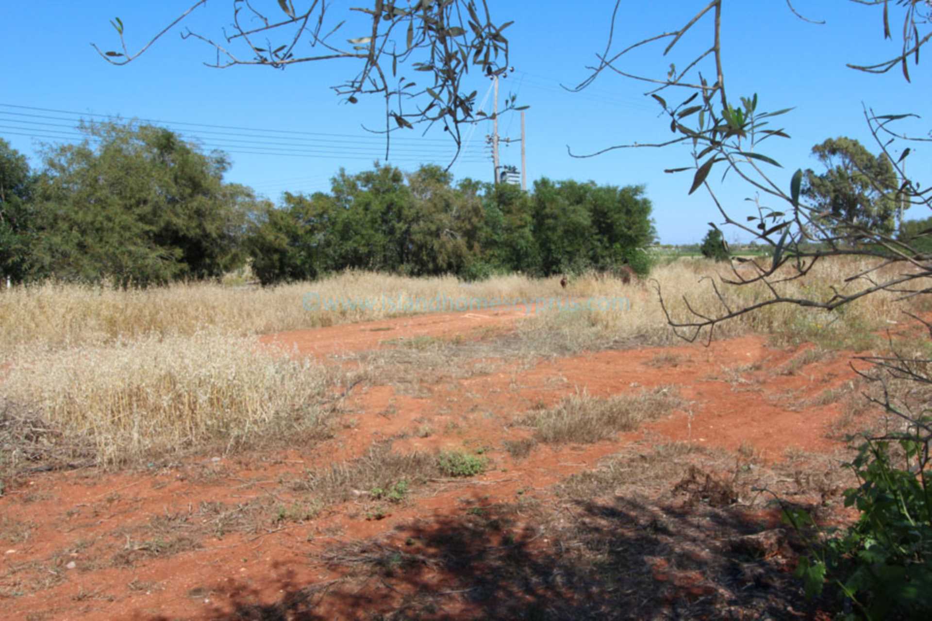 Land, For Sale