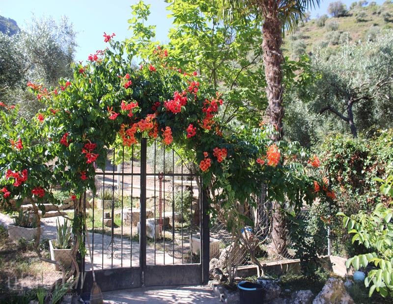 6 Bed, 2 Bath, HouseFor Sale, Zahara de La Sierra, Cadiz, 11688