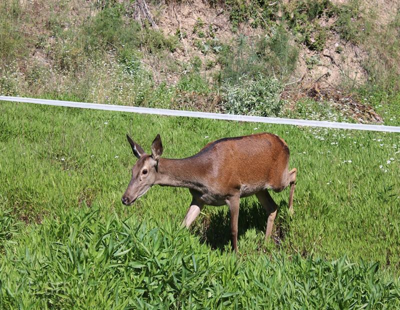 6 Bed, 2 Bath, HouseFor Sale, Zahara de La Sierra, Cadiz, 11688