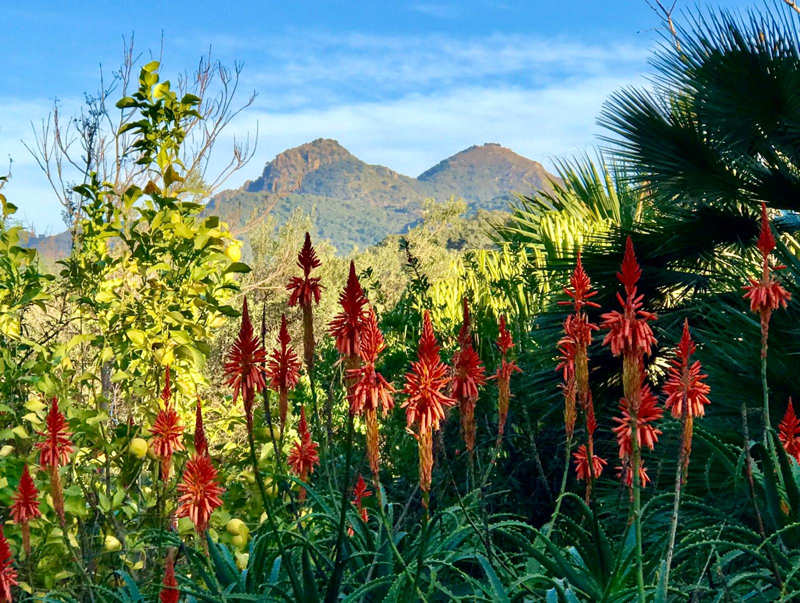 3 Bed, 3 Bath, HouseFor Sale, Estacion Gaucin, Malaga, 29490