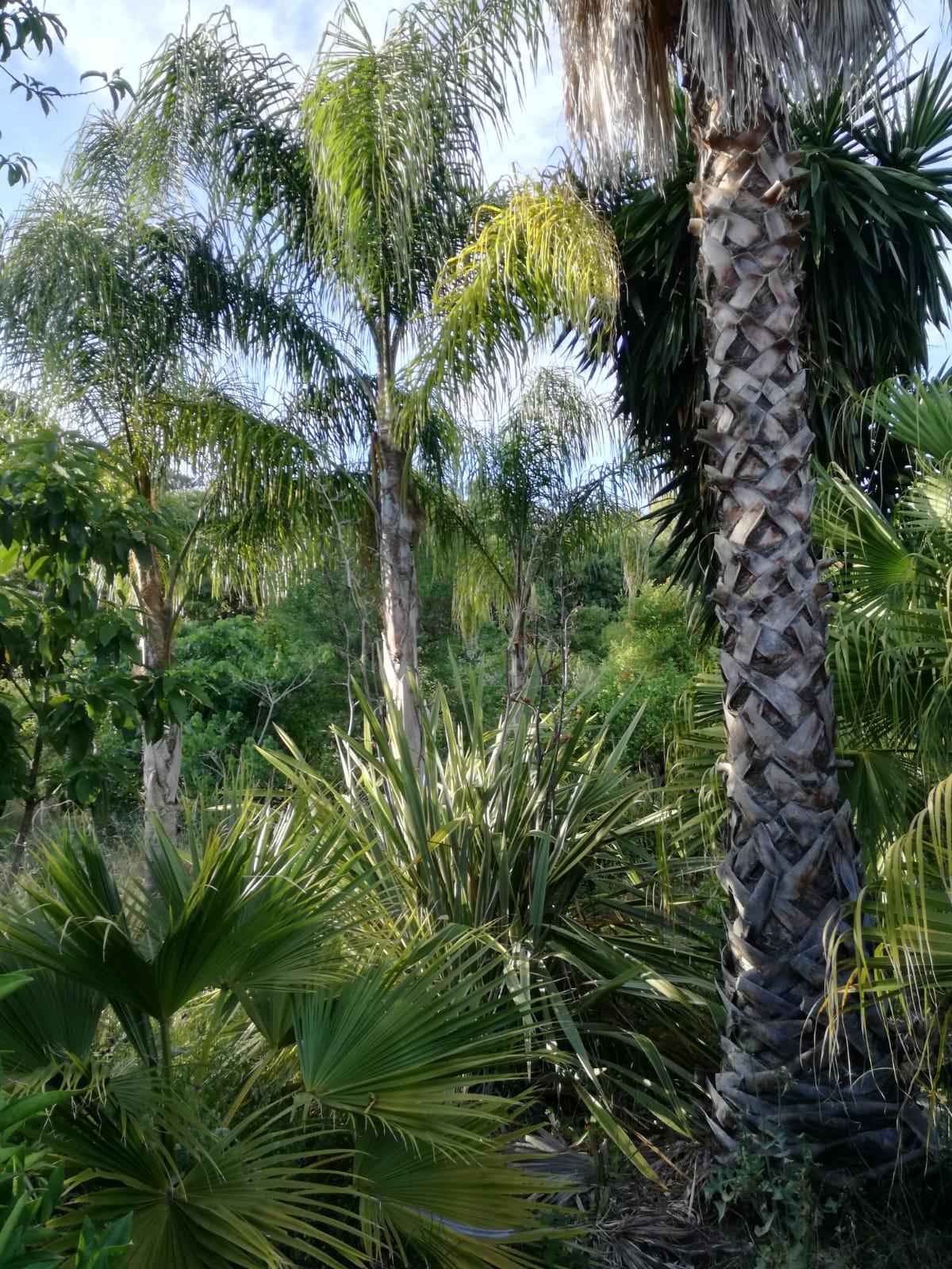 3 Bed, 3 Bath, HouseFor Sale, Estacion Gaucin, Malaga, 29490