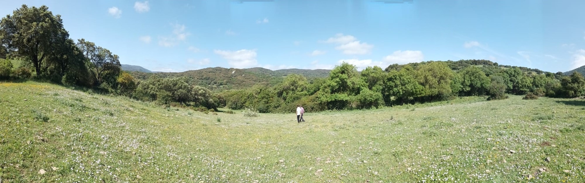 3 Bed, 1 Bath, HouseFor Sale, Cortes de La Frontera, Malaga, 29380