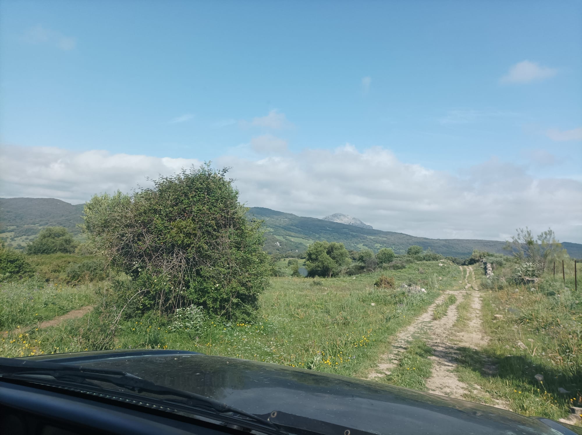 3 Bed, 1 Bath, HouseFor Sale, Cortes de La Frontera, Malaga, 29380