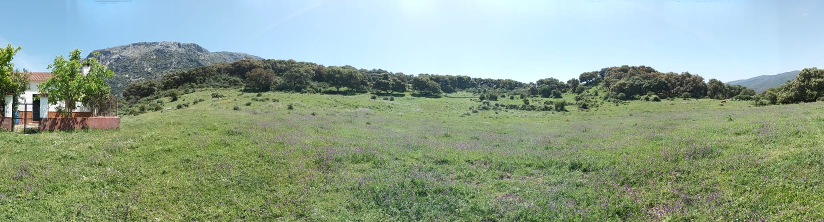 3 Bed, 1 Bath, HouseFor Sale, Cortes de La Frontera, Malaga, 29380