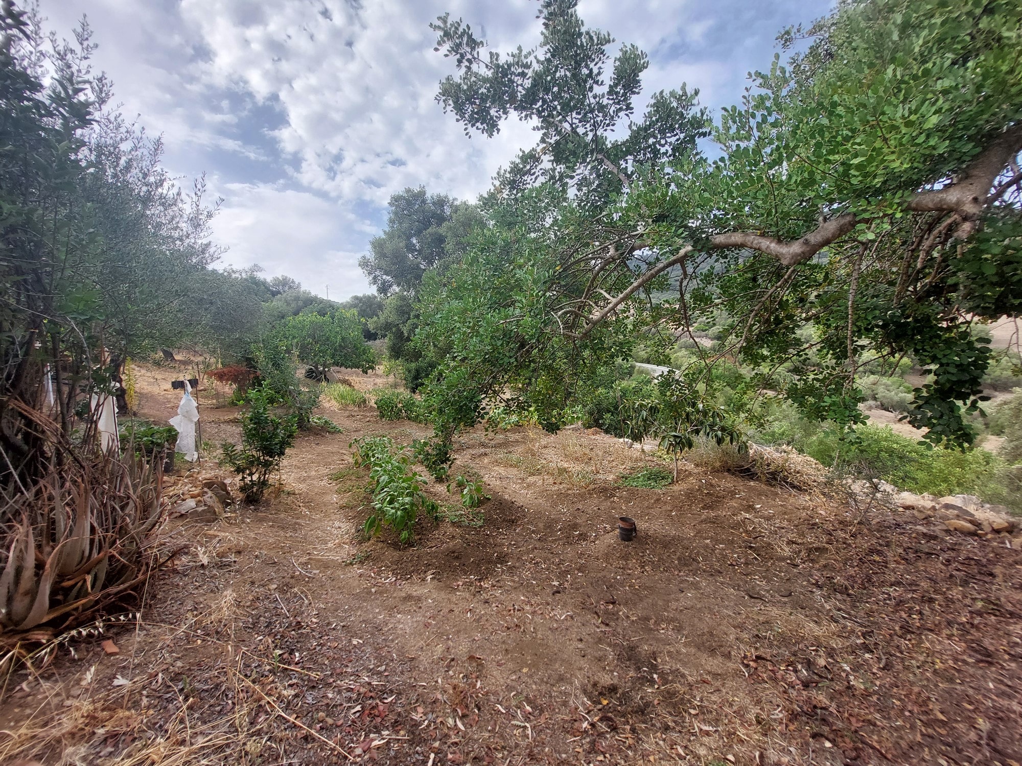 1 Bed, 1 Bath, HouseFor Sale, Estacion Gaucin, Malaga, 29490