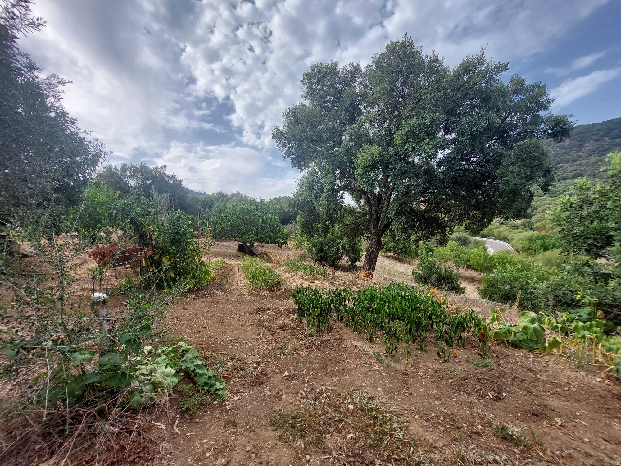 1 Bed, 1 Bath, HouseFor Sale, Estacion Gaucin, Malaga, 29490