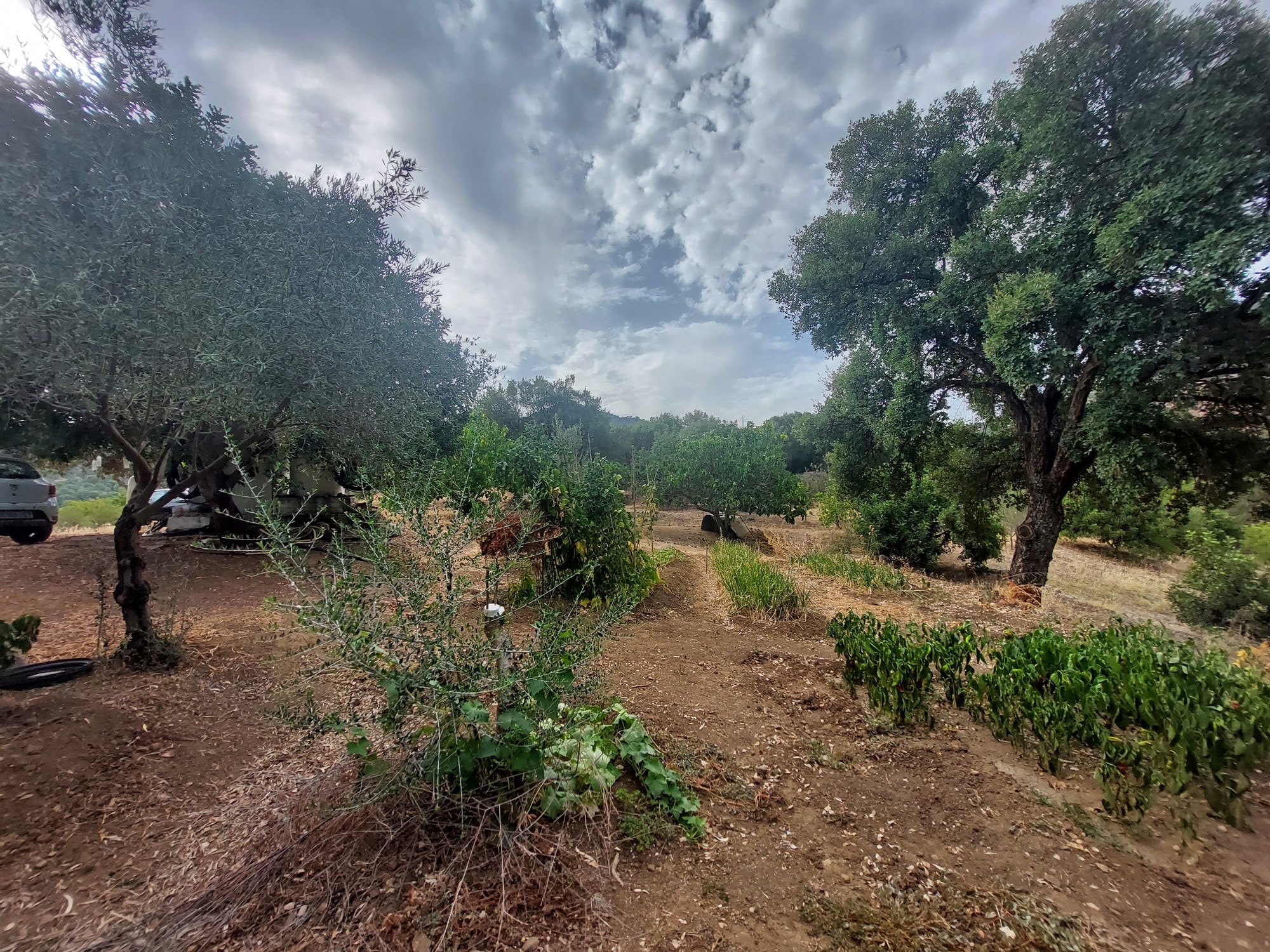 1 Bed, 1 Bath, HouseFor Sale, Estacion Gaucin, Malaga, 29490