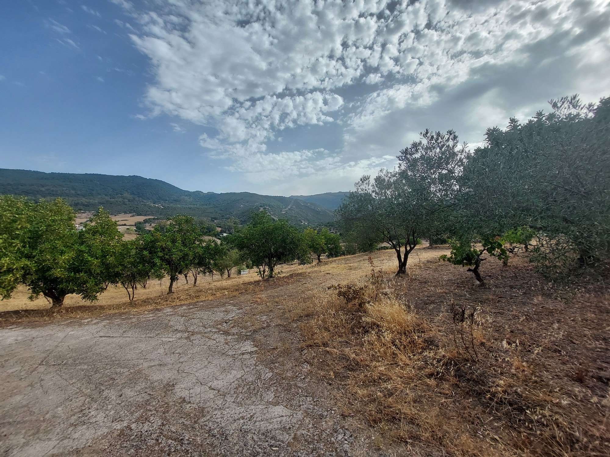 1 Bed, 1 Bath, HouseFor Sale, Estacion Gaucin, Malaga, 29490