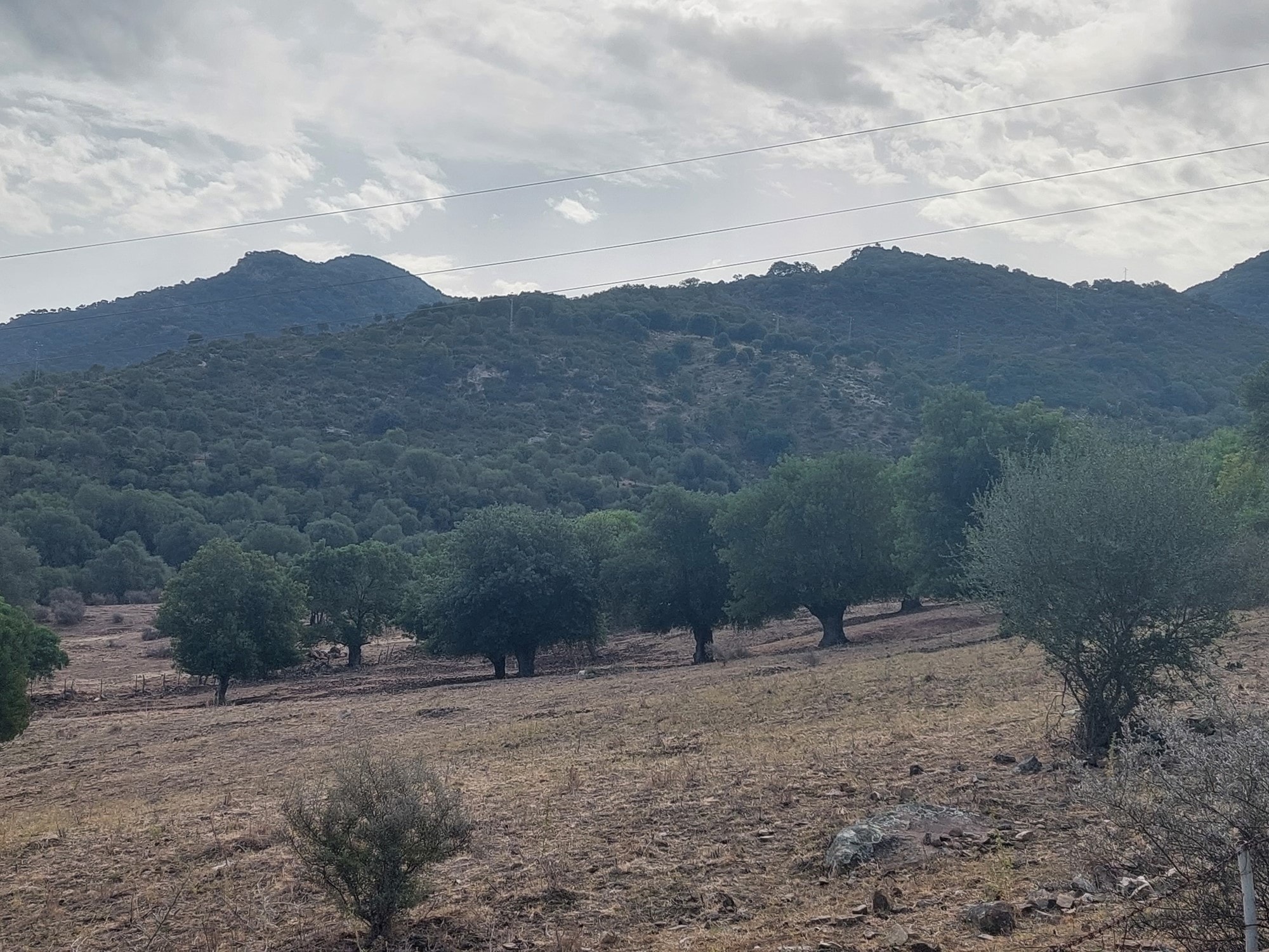 1 Bed, 1 Bath, HouseFor Sale, Estacion Gaucin, Malaga, 29490