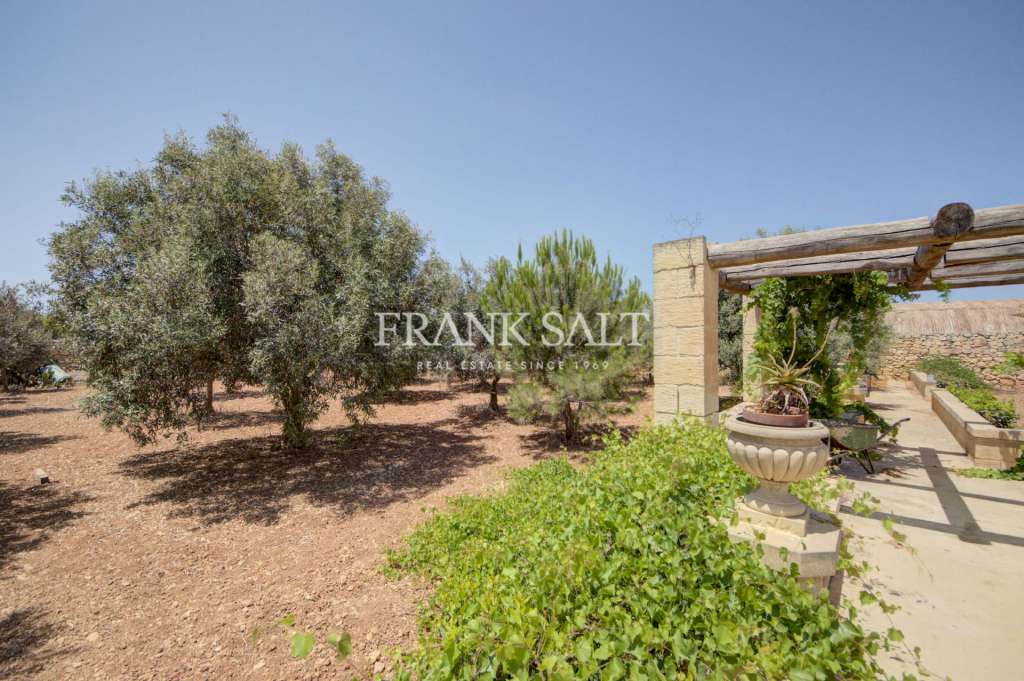 5 Bed, HouseFor Sale, Zejtun, Malta