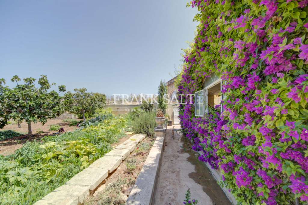 5 Bed, HouseFor Sale, Zejtun, Malta