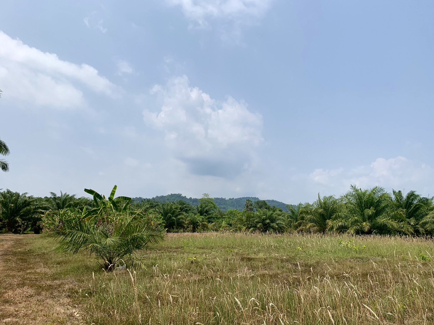 Land, For Sale