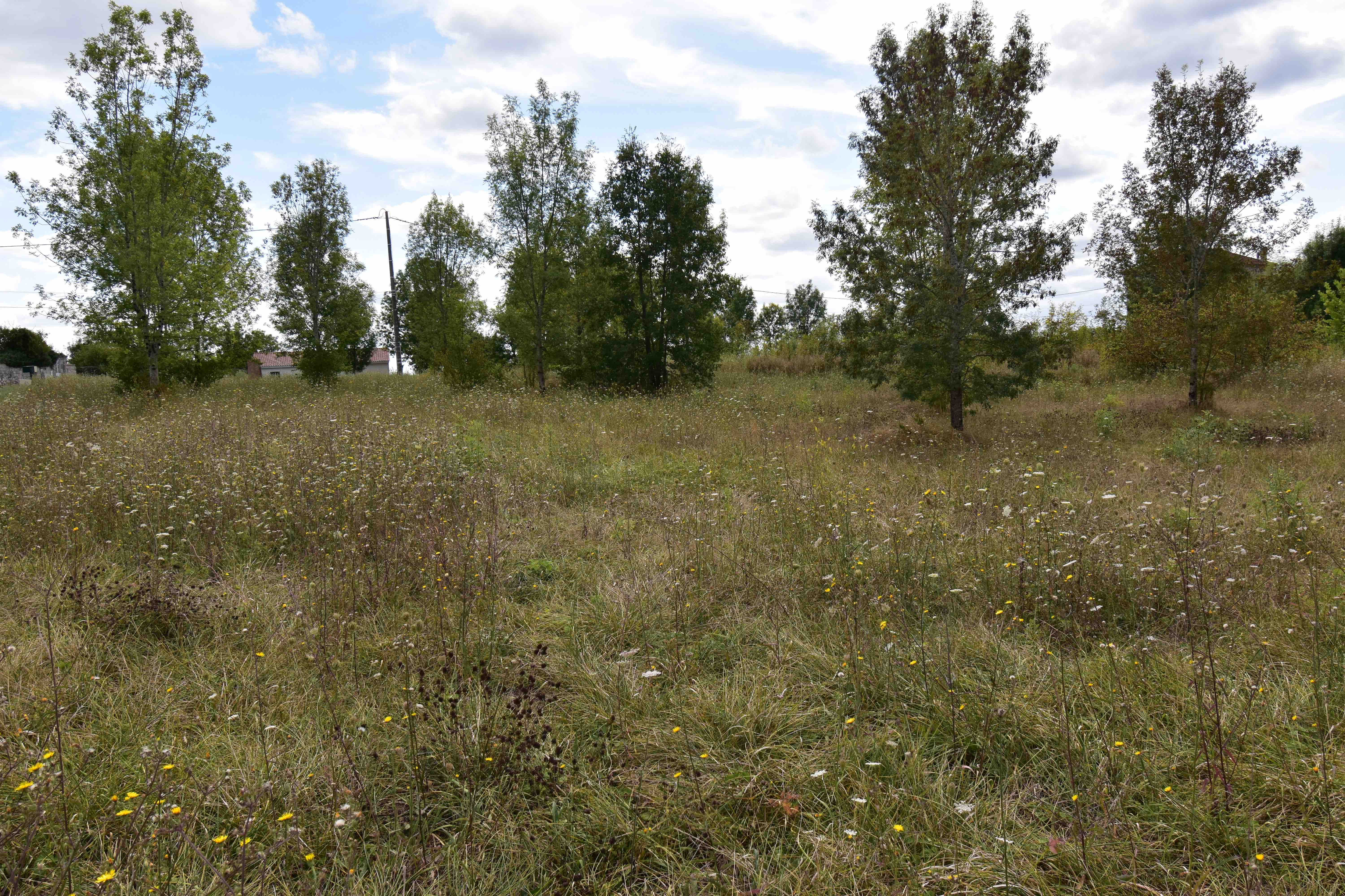 Land, For Sale