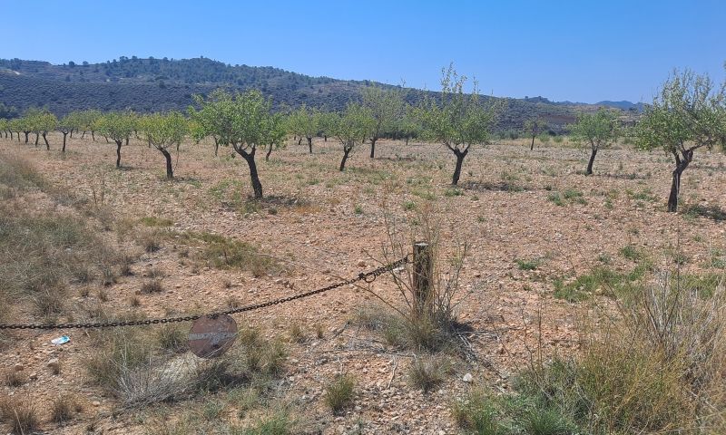 Land, For Sale