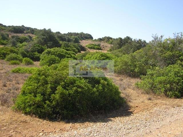 Land, For Sale