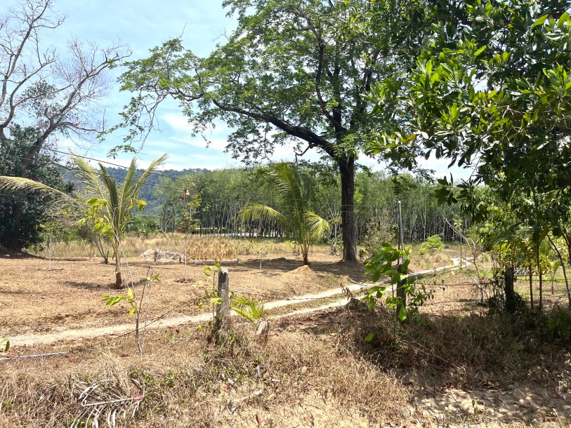 Land, For Sale