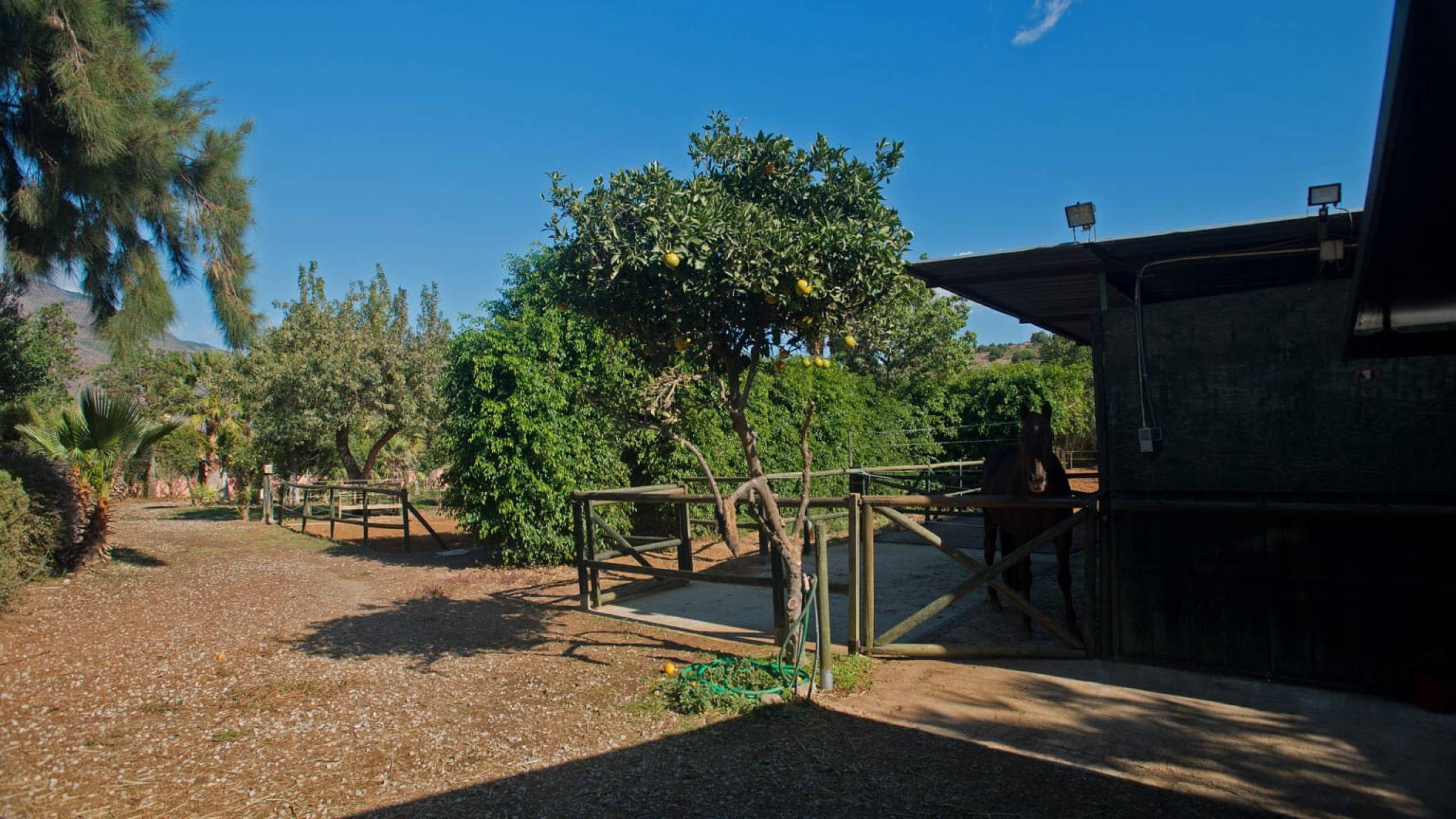 3 Bed, 2 Bath, HouseFor Sale, Estepona, Malaga, 29680