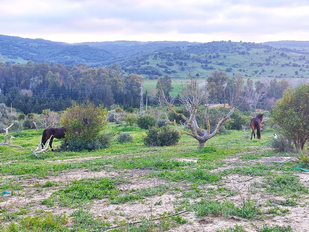 3 Bed, 1 Bath, HouseFor Sale, San Martín de Tesorillo, Cadiz