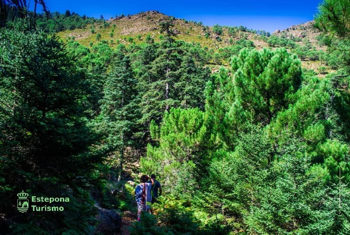 2 Bed, 1 Bath, ApartmentFor Sale, Estepona, Costa del Sol