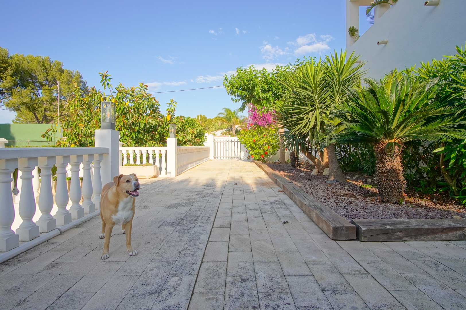 6 Bed, 4 Bath, HouseFor Sale, Denia, Alicante