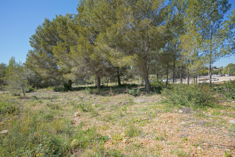 Land, For Sale
