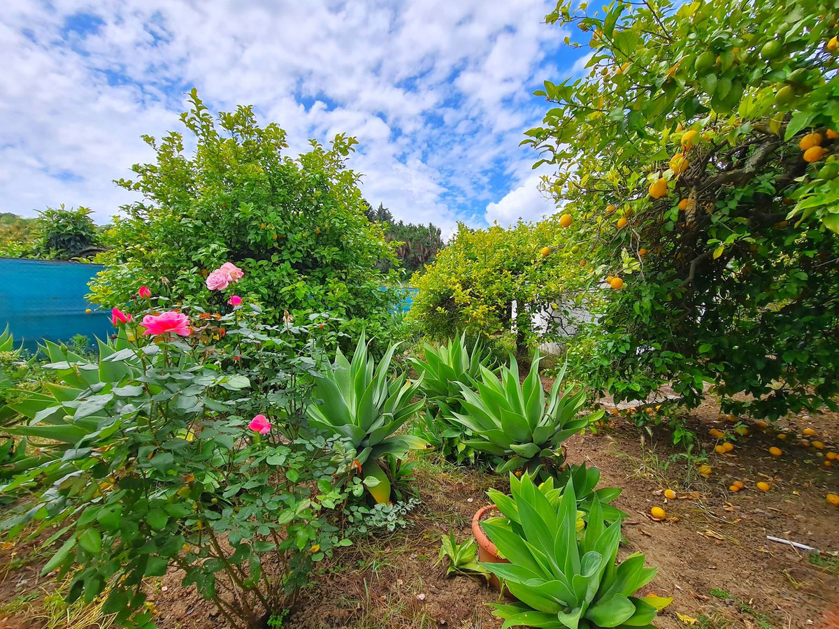 2 Bed, 1 Bath, HouseFor Sale, Estepona, Malaga