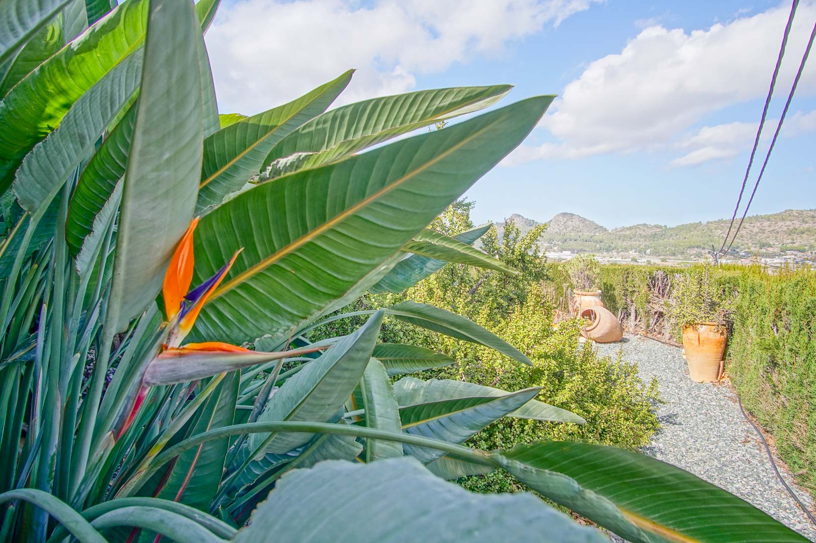 4 Bed, 4 Bath, HouseFor Sale, Pedreguer, Alicante