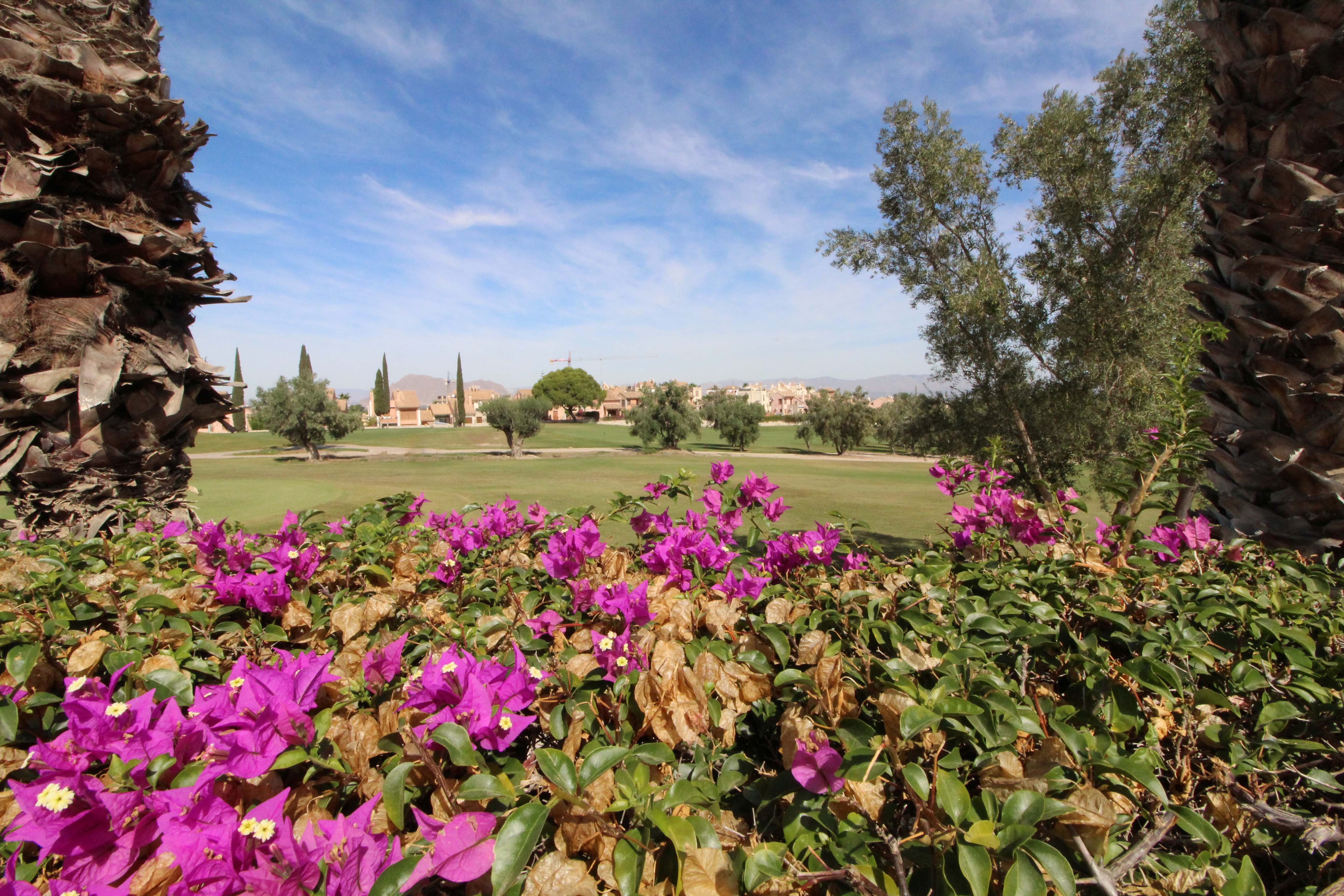 3 Bed, 2 Bath, HouseFor Sale, Algorfa, Alicante